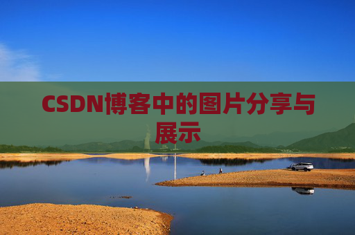 CSDN博客中的图片分享与展示
